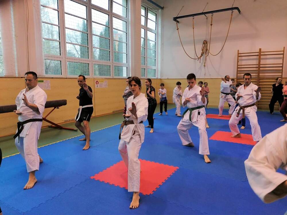 Z&Scaron; Z&aacute;rubova